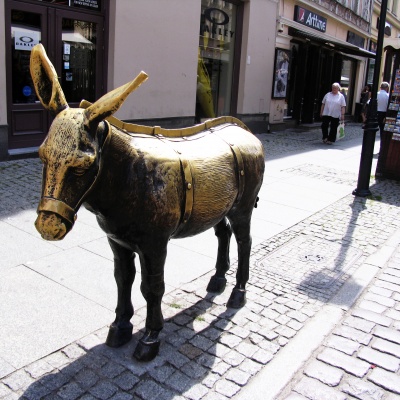 The Spanish Donkey of Torun